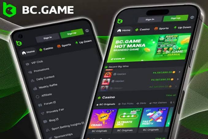 Understanding the BC.Game Login Process A Comprehensive Guide 829666833