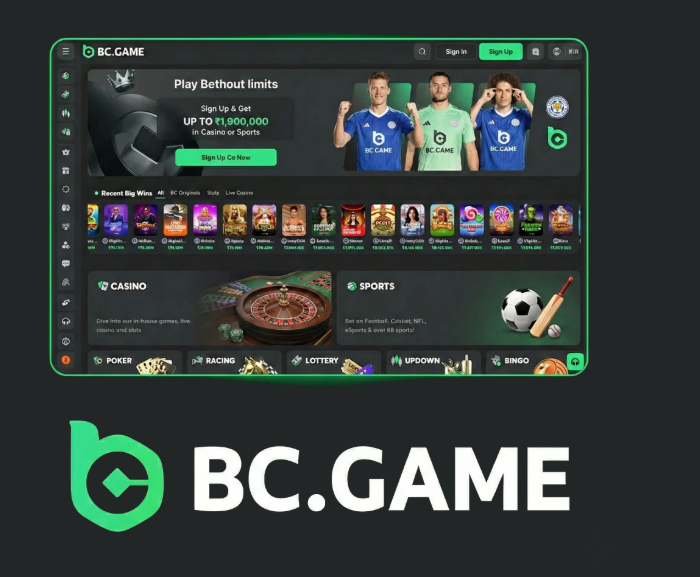 Explore the Latest BC.Game Mirrors for Uninterrupted Gaming